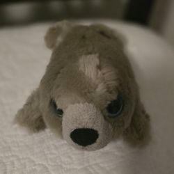 8" Plush Seal
