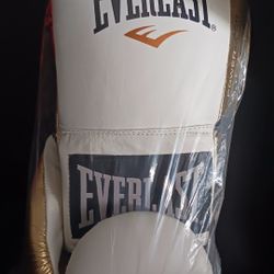 Everlast boxing gloves 