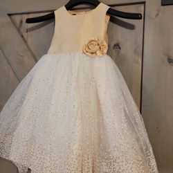 Beautiful Size 3t Dress