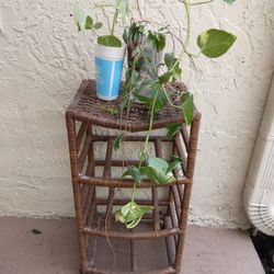 Plant 🪴stand  + Free Plants 🪴