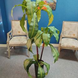 Artificial Plant