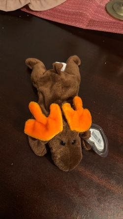 Ty Beanie Baby Chocolate the Moose