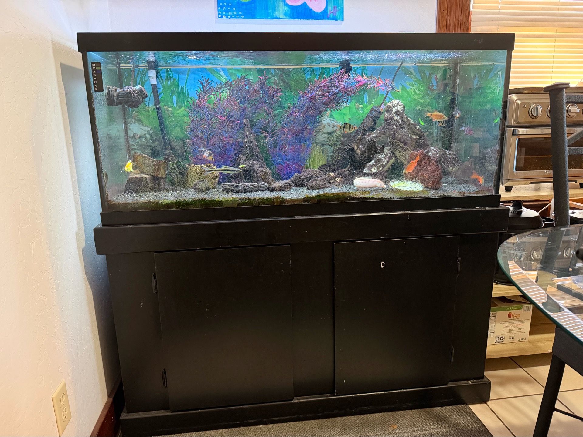 75 Gallon Freshwater Aquarium with Fish+Fluval 407 Canister Filter+Accesories