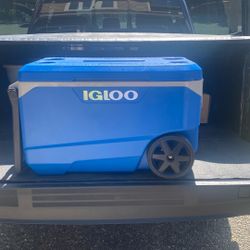 Igloo 72 Quart Cooler With Wheels 