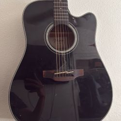 Takamine G Series 
