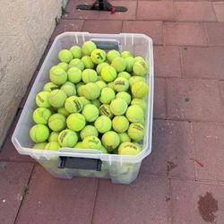 Tennis 🎾 Balls