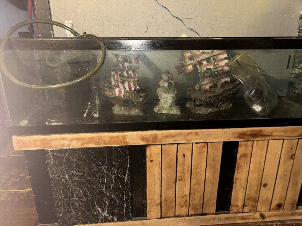125 Or 155 Gallon Fish Tank And Extras