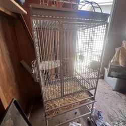 Bird Cage