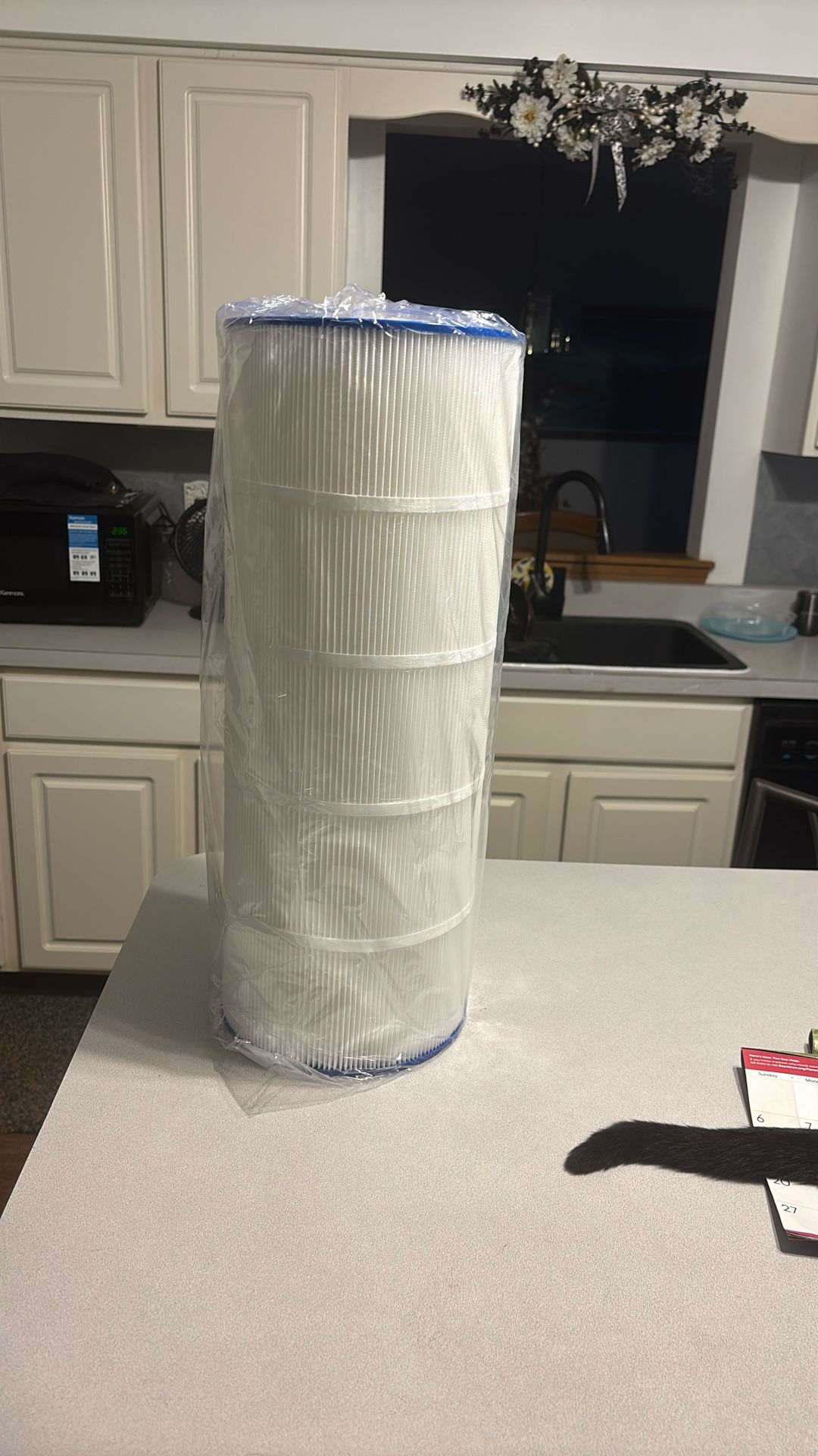 Spa and pool filter no
