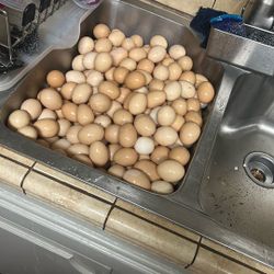 Organic Eggs 3$ A Dozen We Have A Deal 7 Dozens (84) Eggs For Only 20$