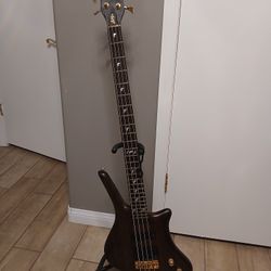 Warwick Dolphin Pro1