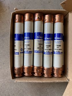 Ferraz Shawmut Tri-Onic TRS30R Time Delay Fuse (1 fuse)