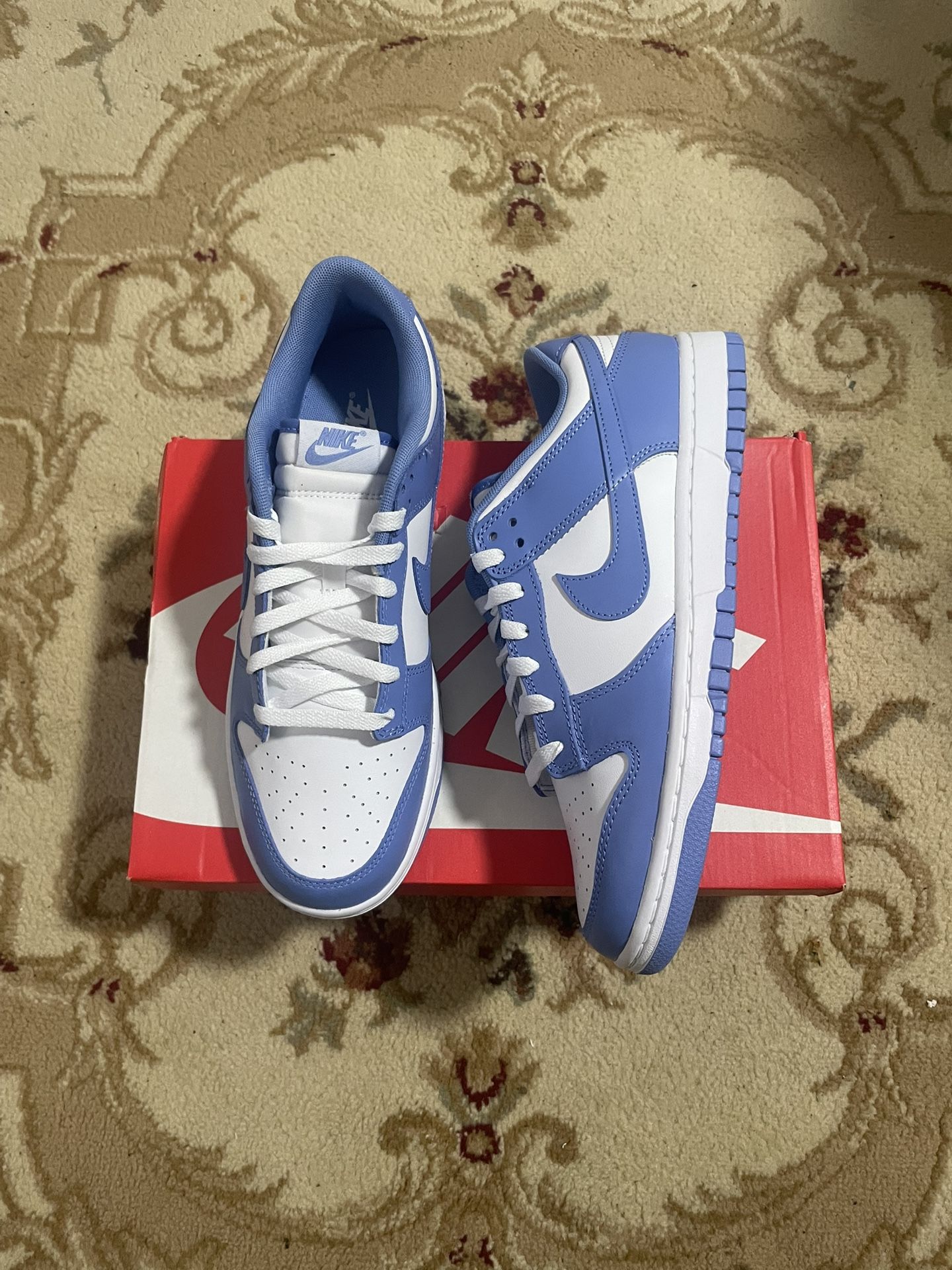 Nike Dunk Polar Blue Size 10
