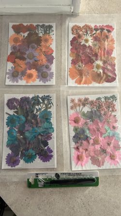 Pressed Dried Flower Sheets Craft Supply Set