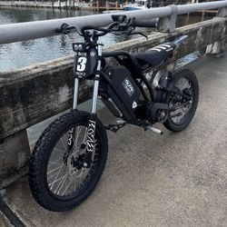 Freego e-bike