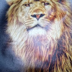 Lion Copy Of A Painting On Canvas Signed By The Artist 50
