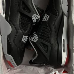 Nike Air Jordan Retro 4 Reimagined Size 11