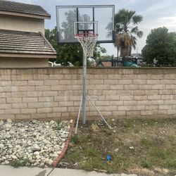 Basketball Hoop