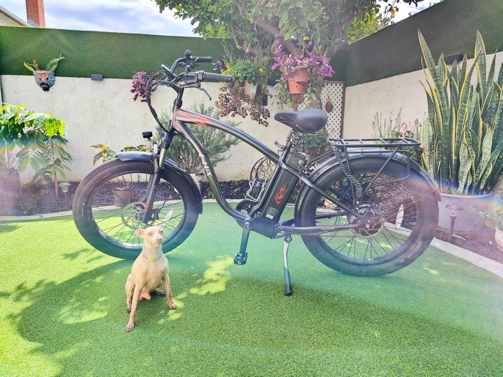E Lux Tahoe E Bike