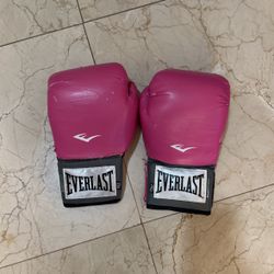Everlast Boxing Gloves
