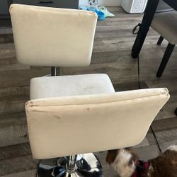 Bar  Stools