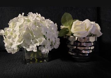 Both Flowers with Pots for 5$