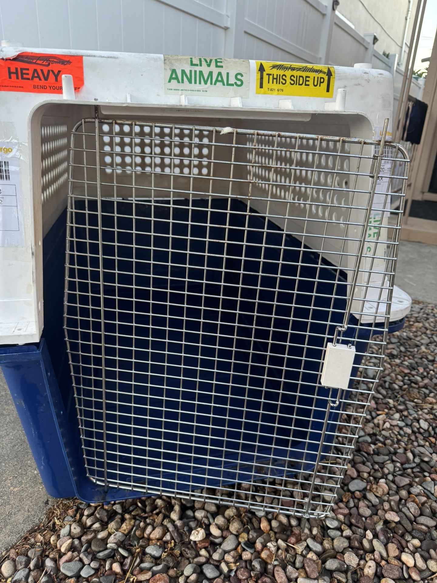 Big Dog Kennel