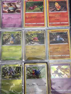 Special illustrator pokemon