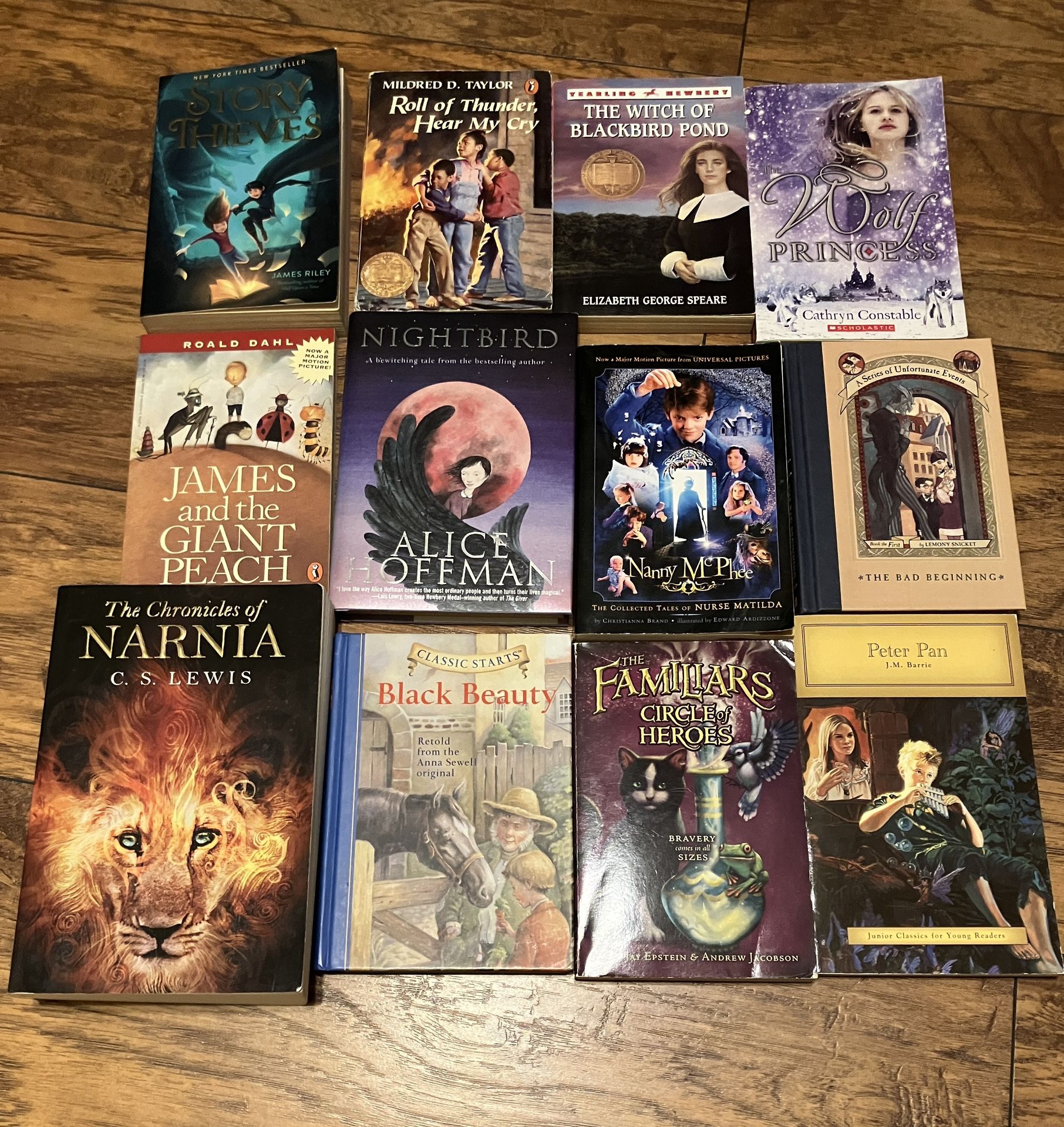 Lot Of 12 Chapter Books, Grades 4-8