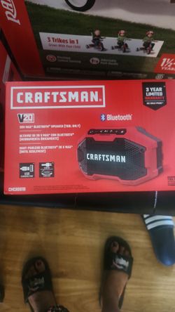 Speaker  craftsman