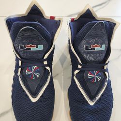 Nike Lebron 17 College Uconn