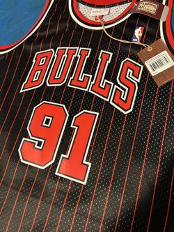 Chicago Bulls Dennis Rodman Mitchell Ness Pinstripe Black 1995-96 HWC Jersey