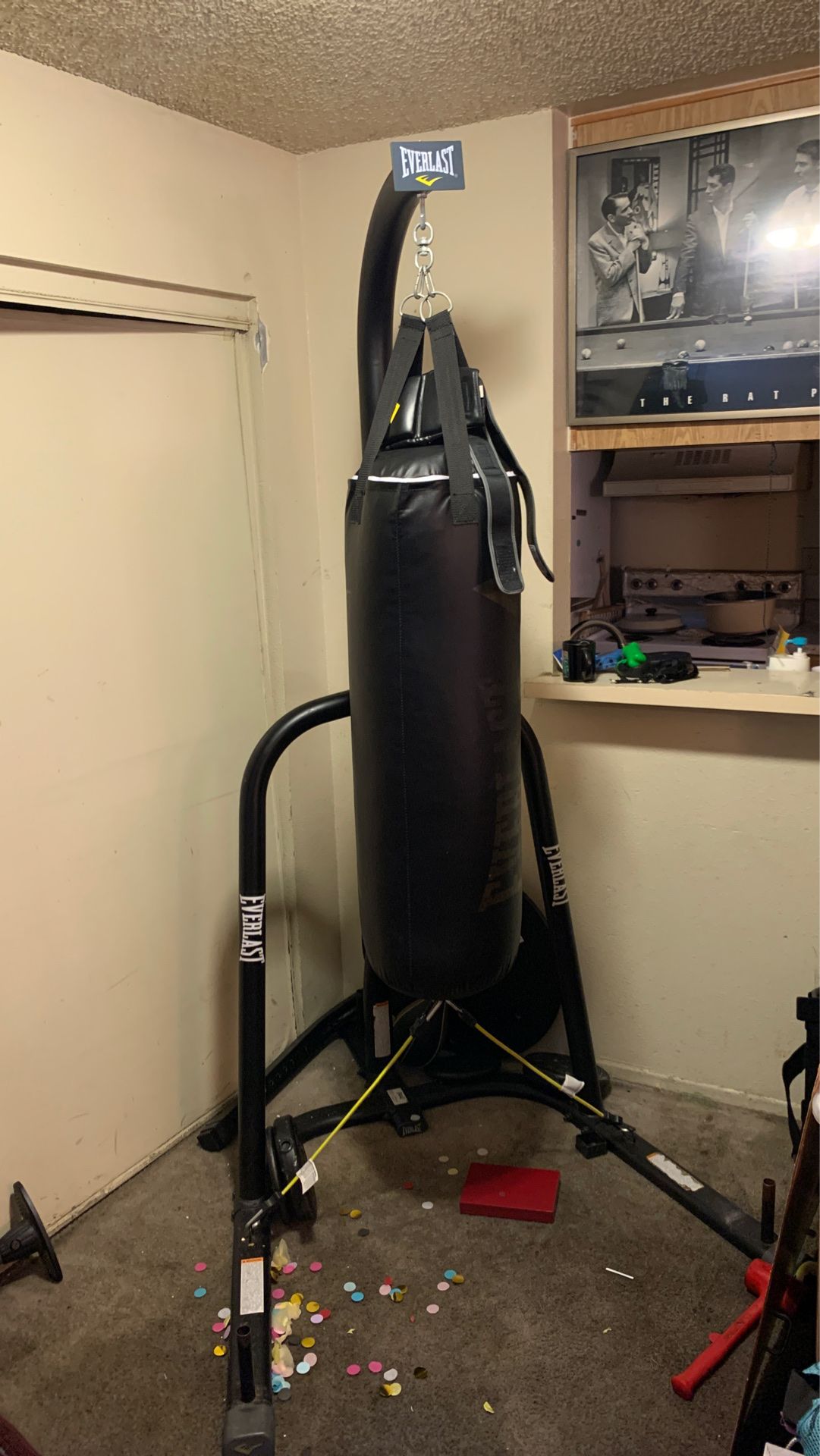 Everlast punching bag