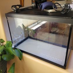 20 Gallon Fish Tank