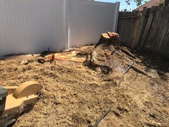 Stump Grinding