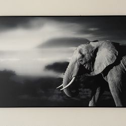 Frame picture