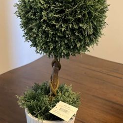 Home Decoration Plant Brand New From Homegood