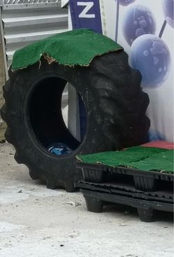 Tractor Tire For Exercise 48” - $200