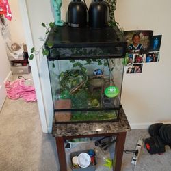 Chameleon /Reptile Cage 