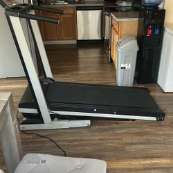 Working Treadmill