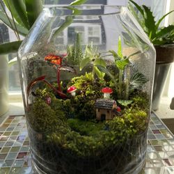 Fairy Village Terrarium With People And Mushroom