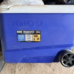 Igloo 38 Qt Ice Cooler With Wheels