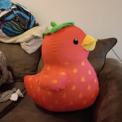 Strawberry Duck 