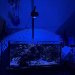 25 Gallon Nano 