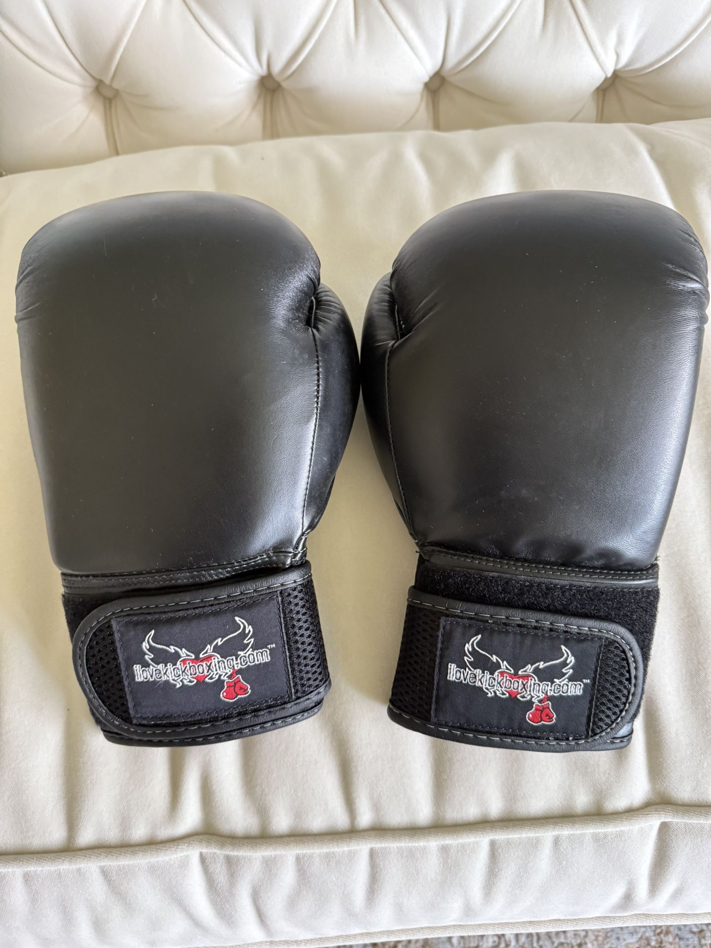 Kickboxing Gloves