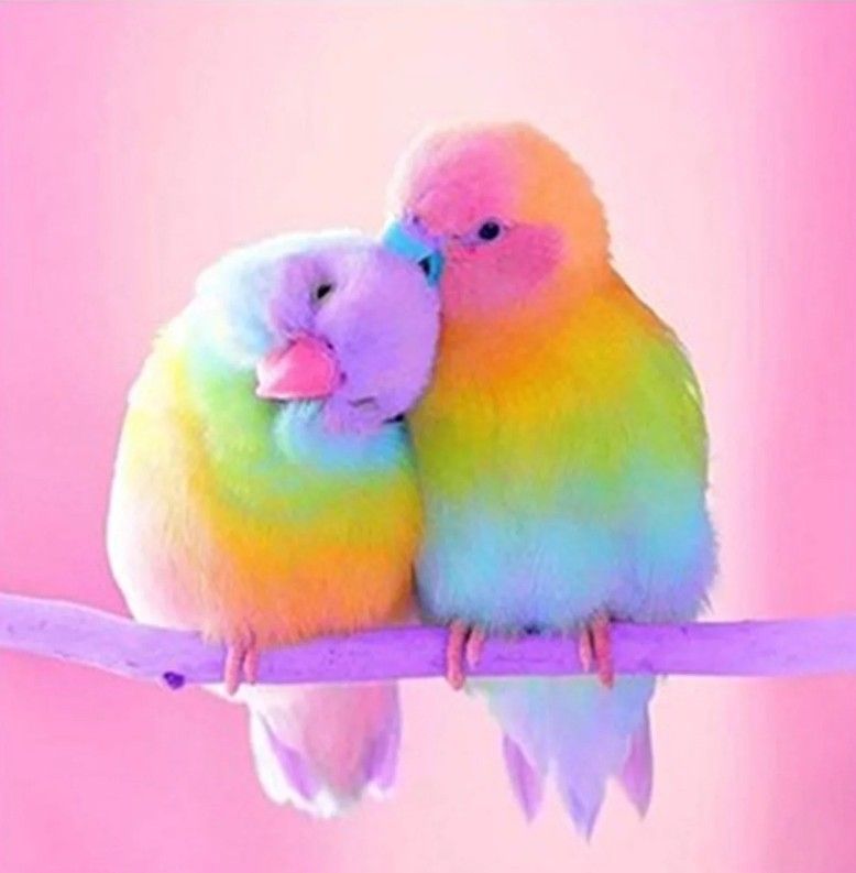Caregiving Services