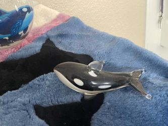Whale dolphin collectors