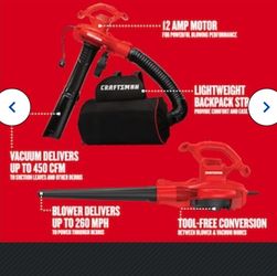 Craftsman blower and molture