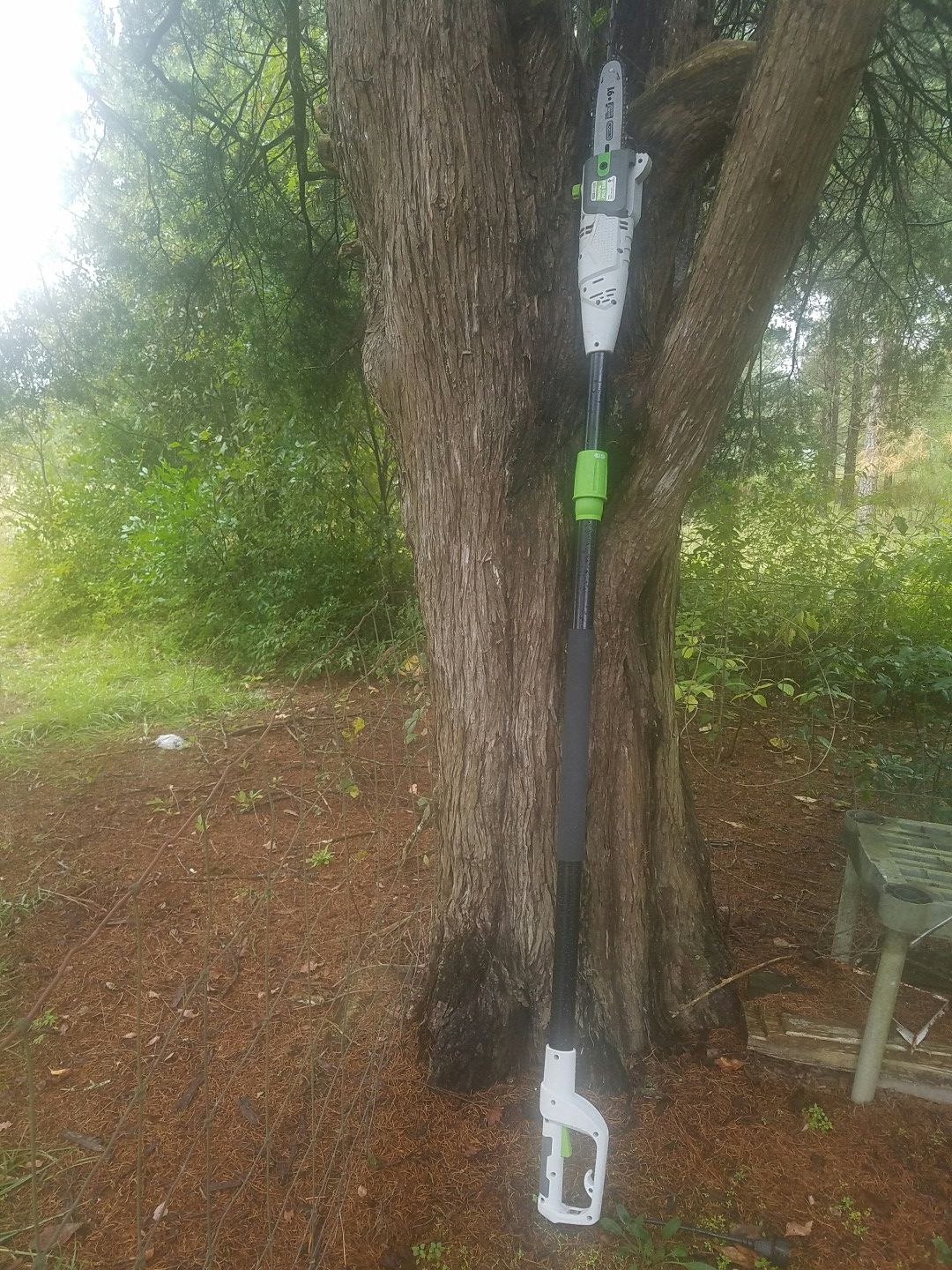 Electric Pole Saw
