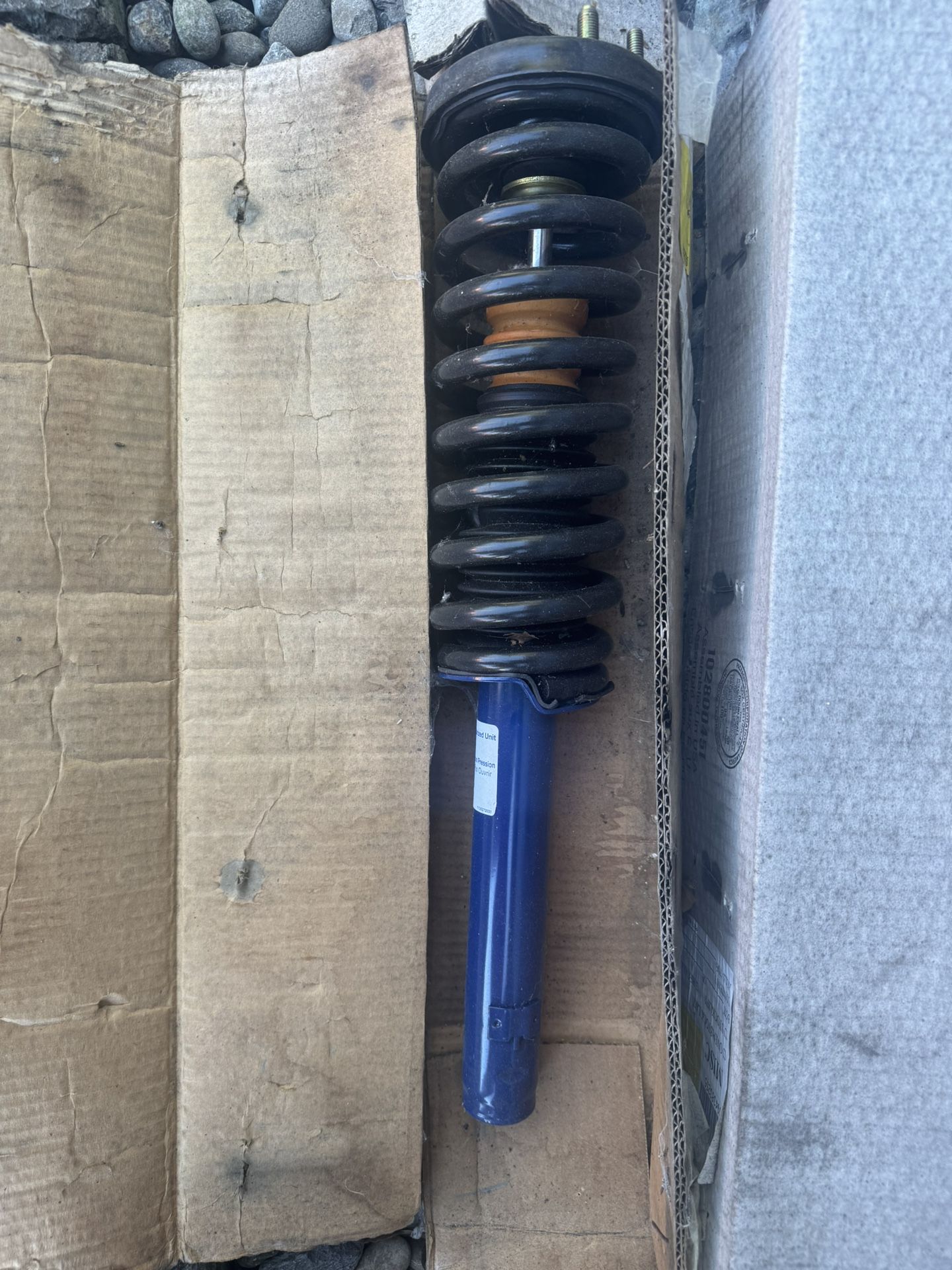 2003-2006 Honda Accord Front Shock Assembly